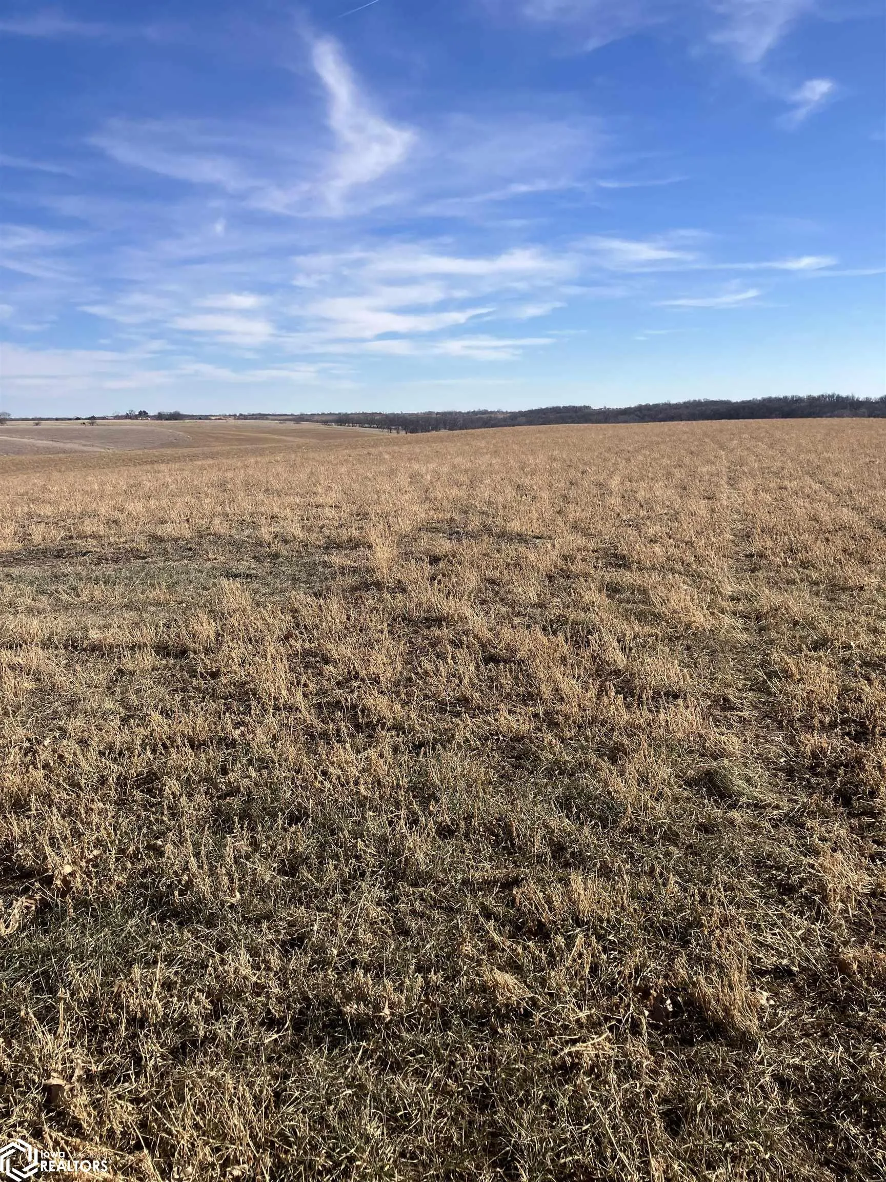 000 140th St S, Corydon, Iowa 50060, ,Land,For Sale,140th St,6324340