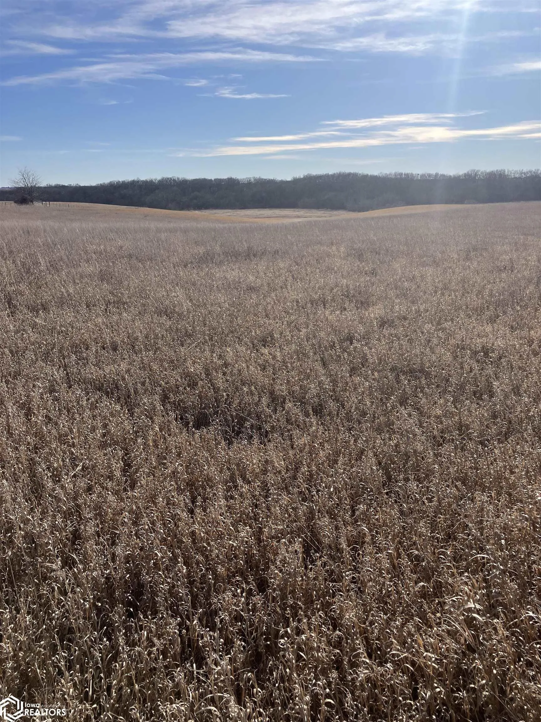 000 140th St S, Corydon, Iowa 50060, ,Land,For Sale,140th St,6324340