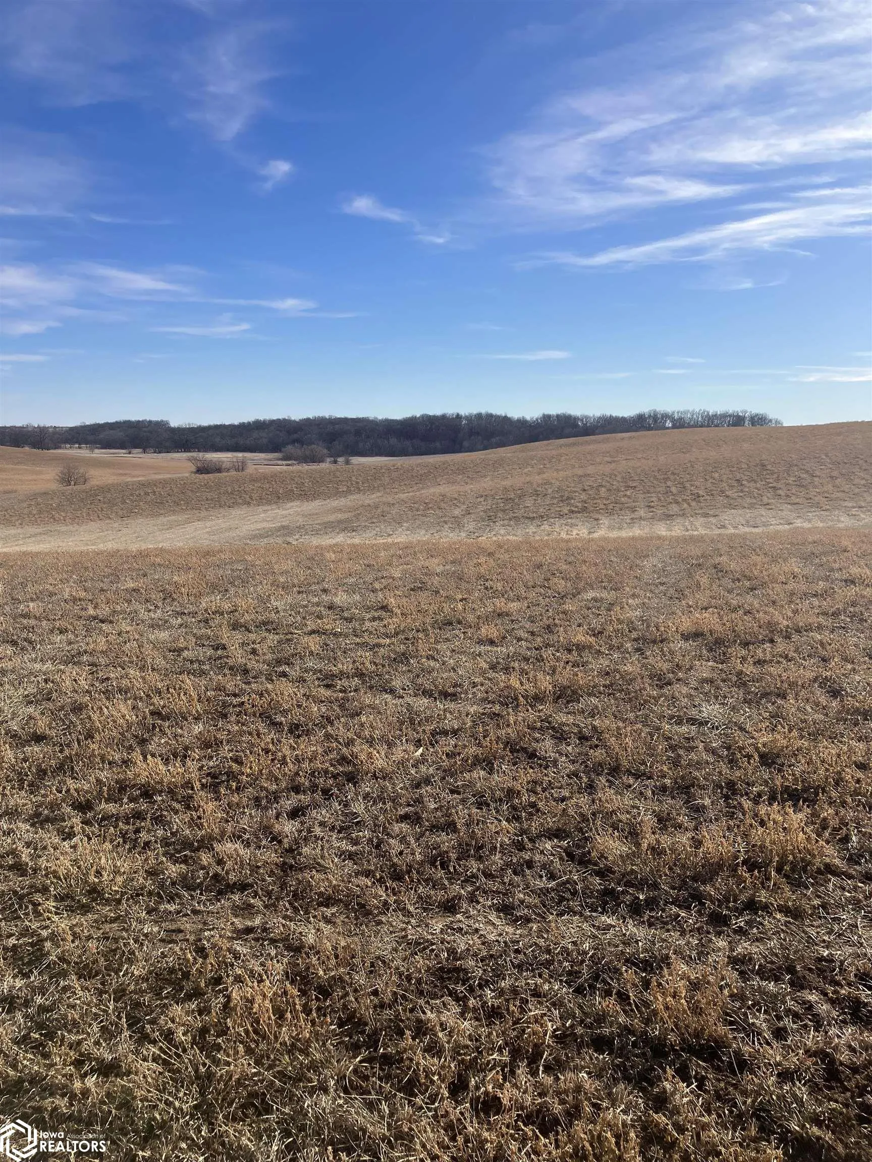 000 140th St S, Corydon, Iowa 50060, ,Land,For Sale,140th St,6324340