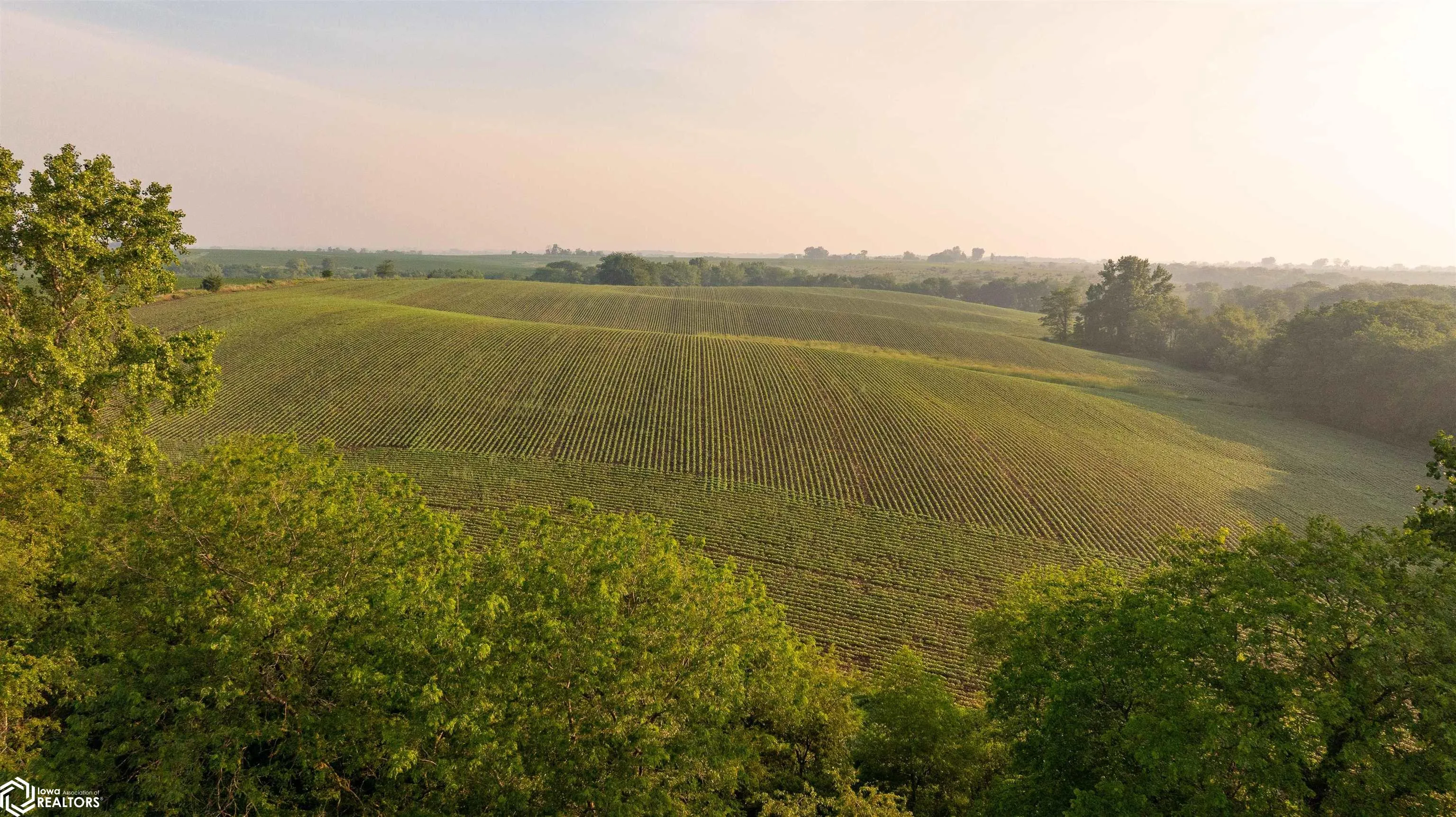 000 Ohio Road, Corydon, Iowa 50060, ,Land,For Sale,Ohio,6328614