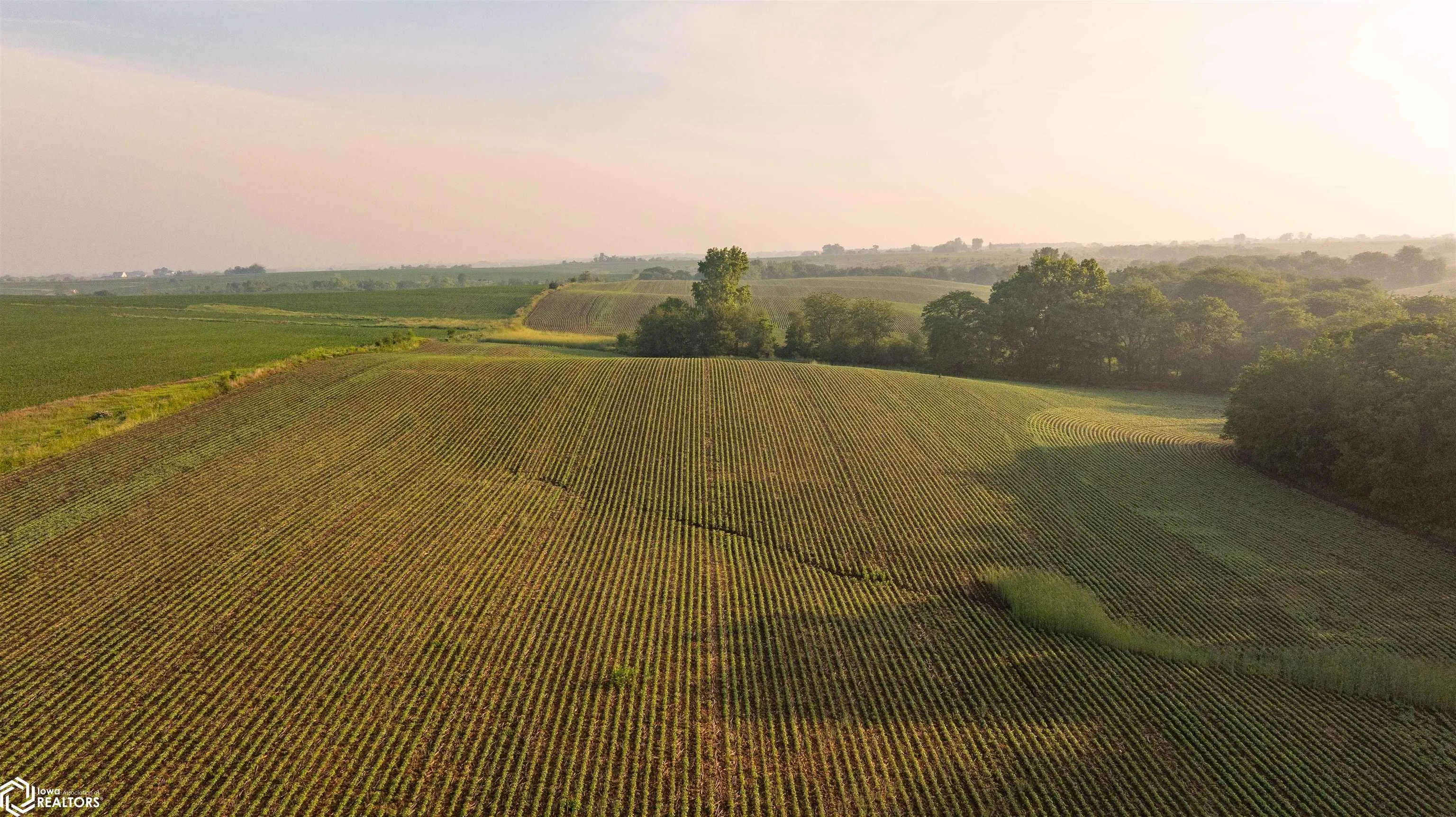 000 Ohio Road, Corydon, Iowa 50060, ,Land,For Sale,Ohio,6328614
