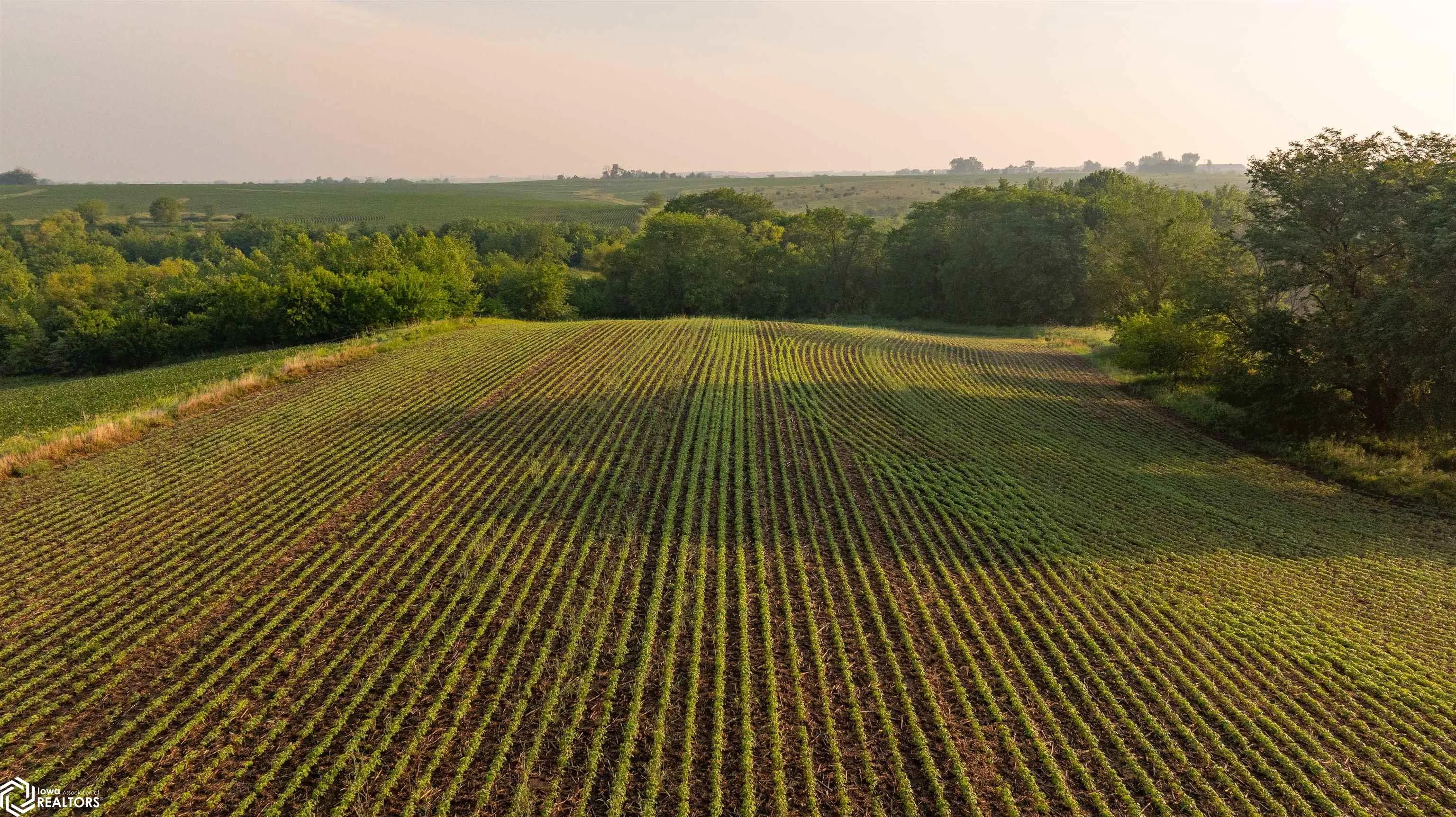 000 Ohio Road, Corydon, Iowa 50060, ,Land,For Sale,Ohio,6328614