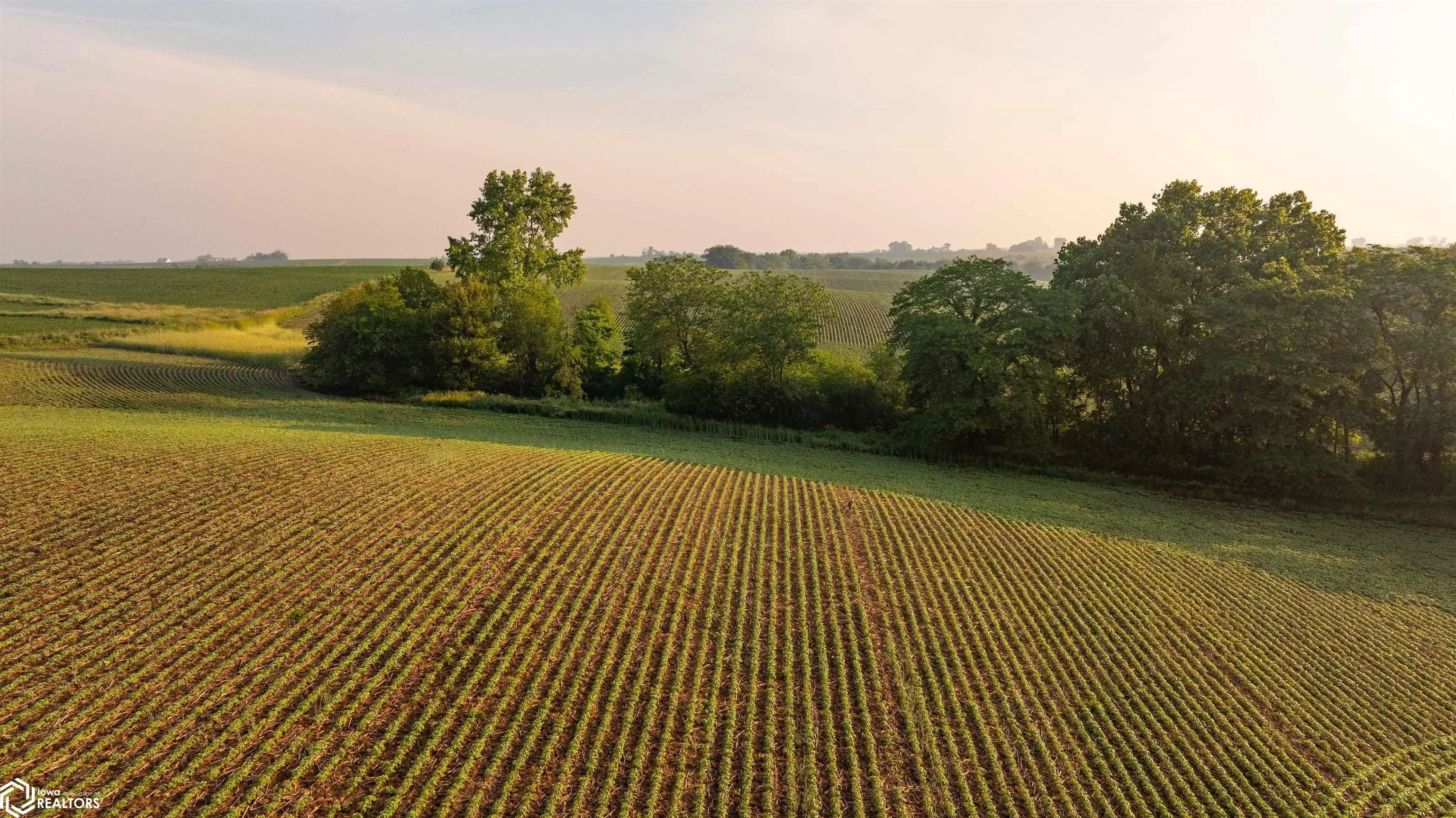 000 Ohio Road, Corydon, Iowa 50060, ,Land,For Sale,Ohio,6328614