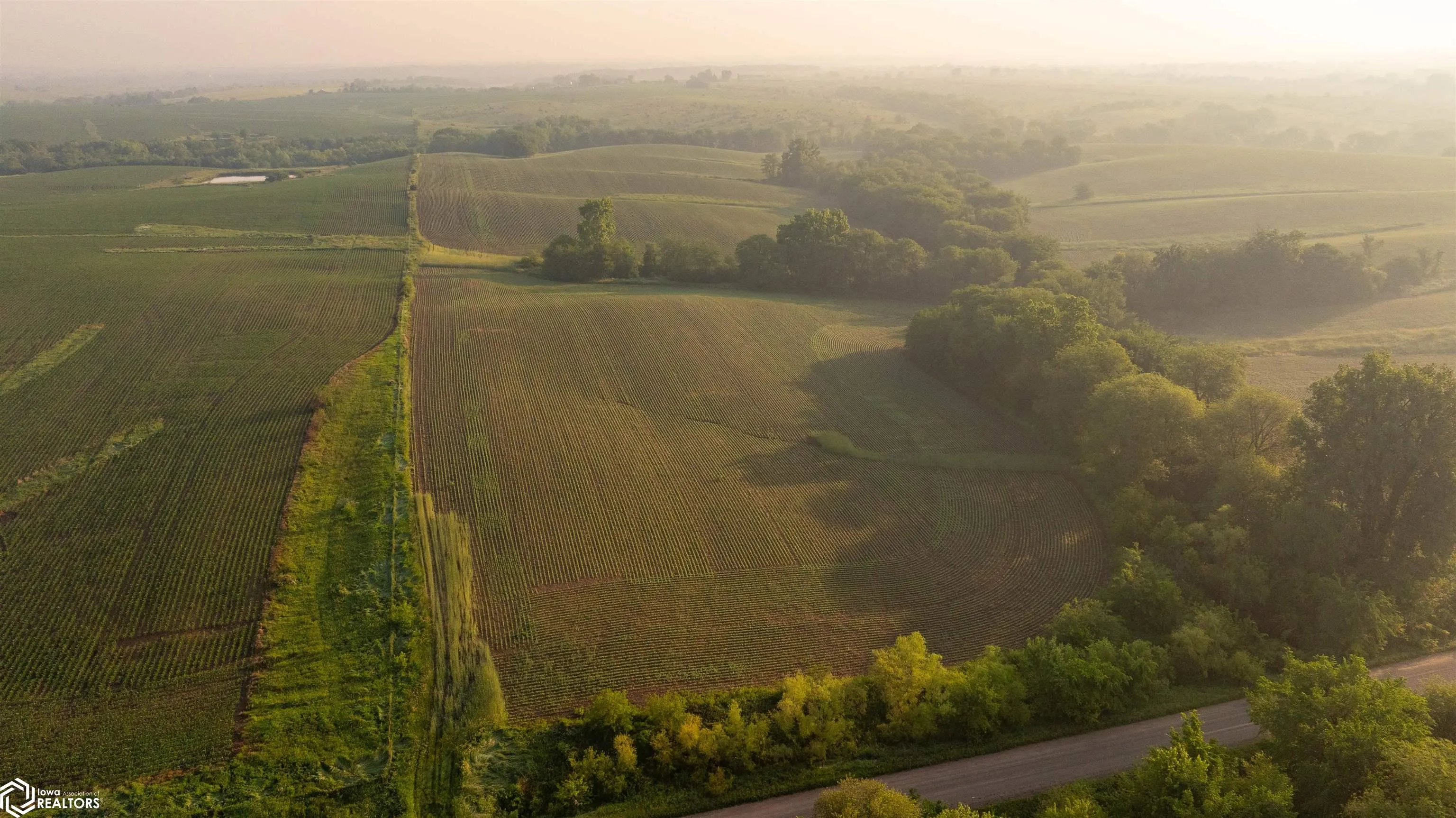 000 Ohio Road, Corydon, Iowa 50060, ,Land,For Sale,Ohio,6328614