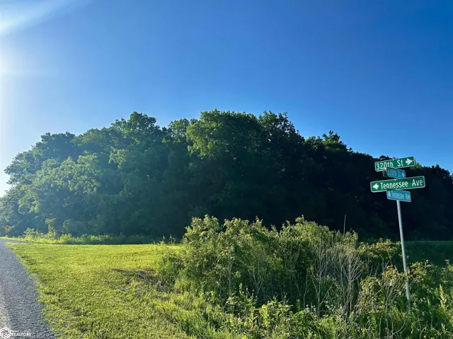 320th St. And Tennessee Ave., Bedford, Iowa 50836, ,Land,For Sale,320th St. and Tennessee Ave.,6328932