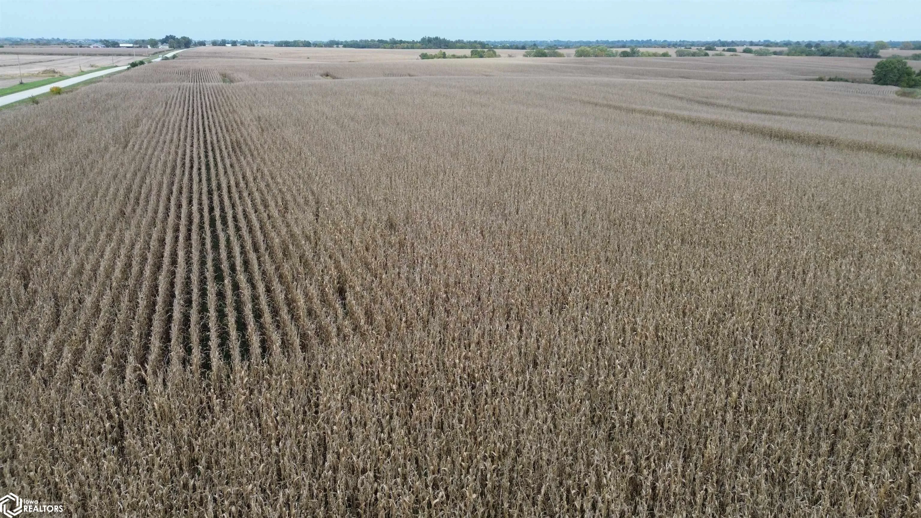 Farm For Sale