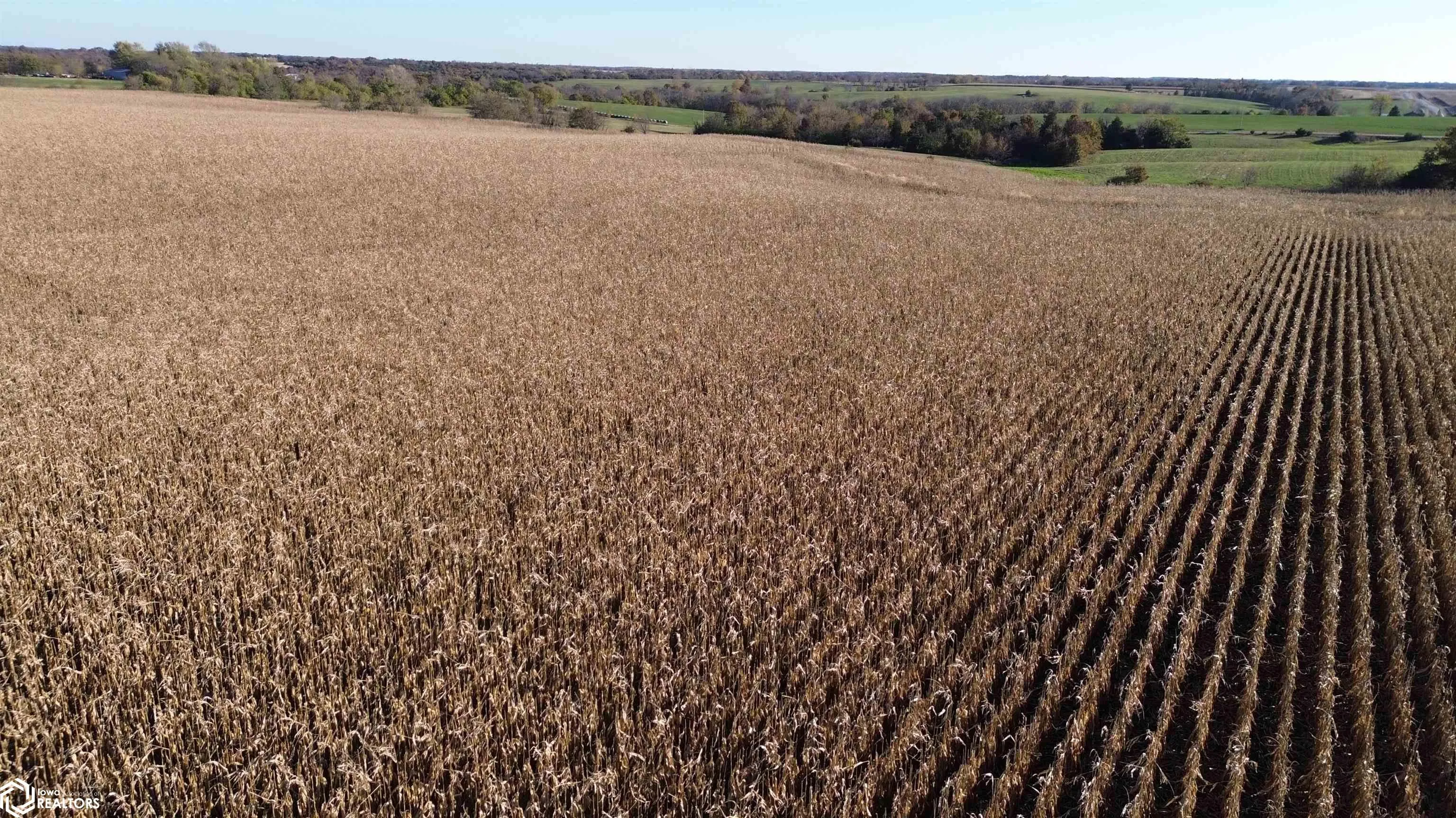 Farm For Sale