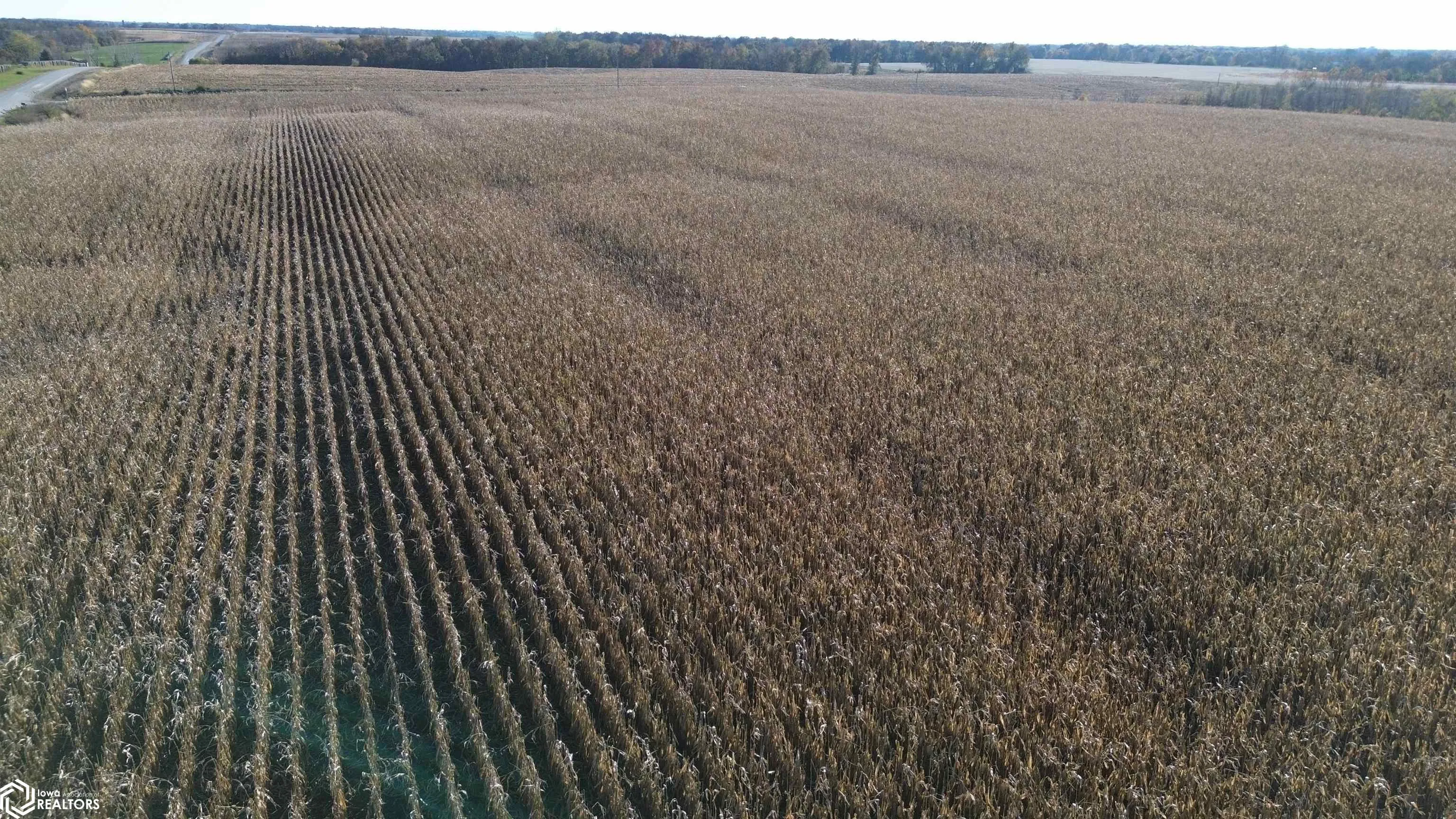 Farm For Sale