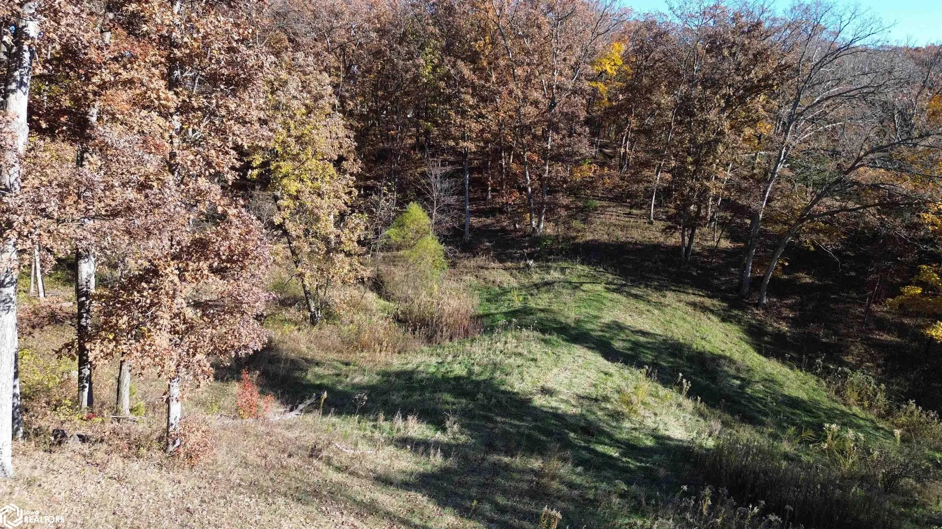 Farm For Sale