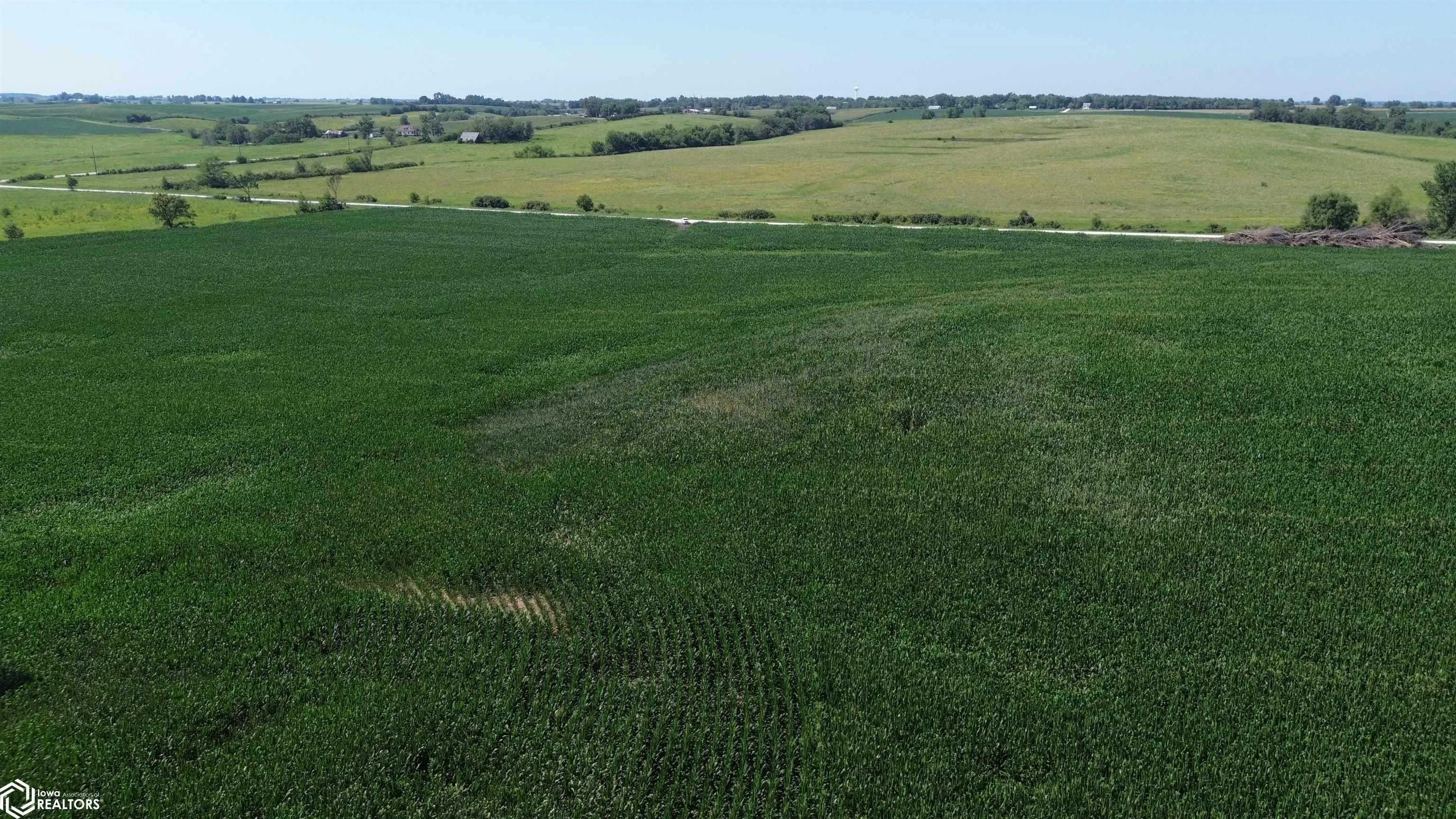 122 Acres Highway 21, Delta, Iowa 52550