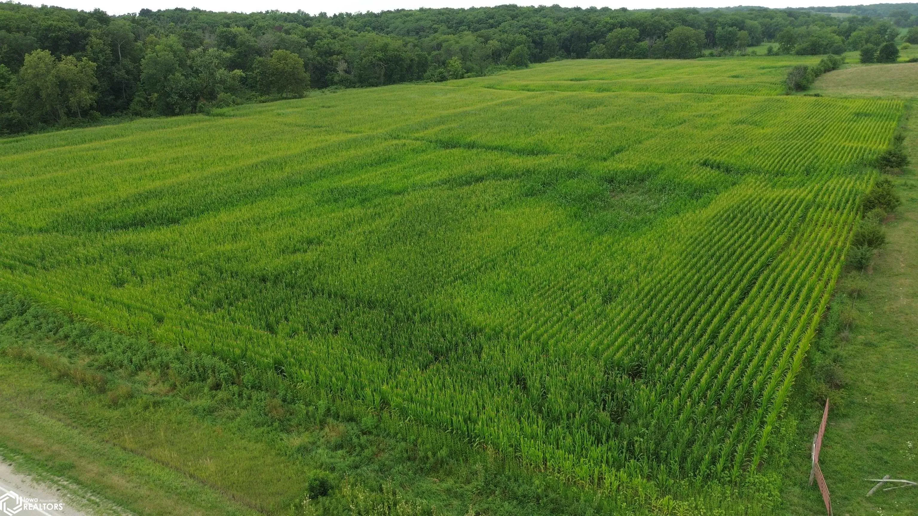 21 Acres Timber Avenue, Bloomfield, Iowa 52537