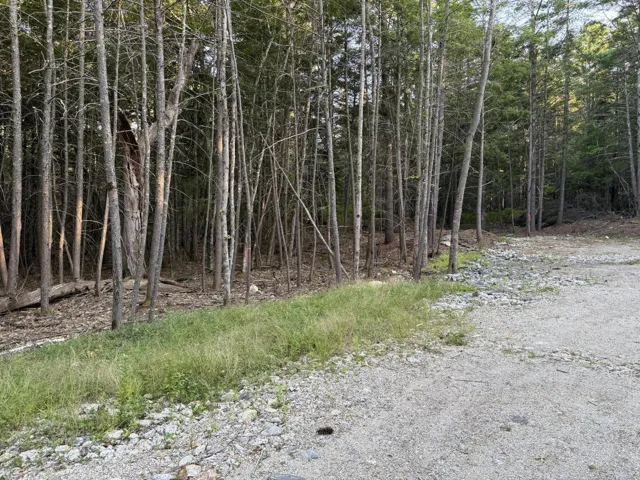 Lot #23 all the way at end of left side of road