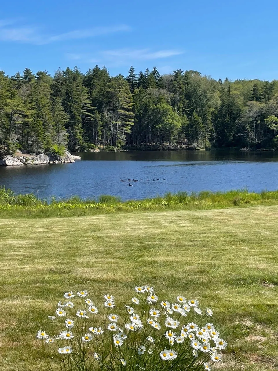29 & 39 Murray Hill Road, Boothbay, Maine 04544