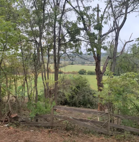 Valley View