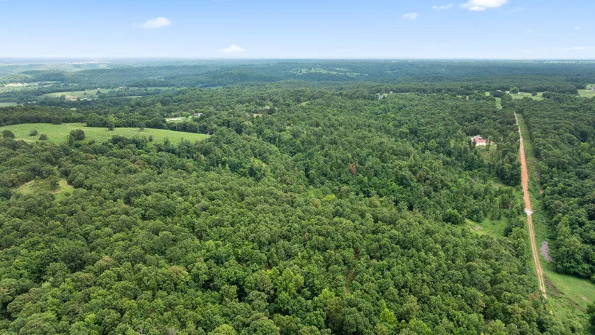 007_dji_20240717151633_0533_d_885