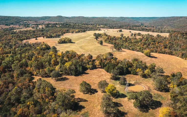 Gunnison Ranch & Hunt