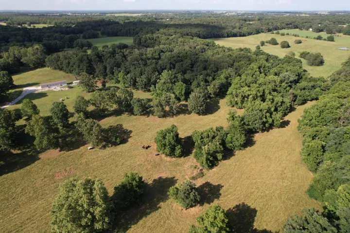 DJI_0293