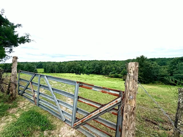 gate/entrance