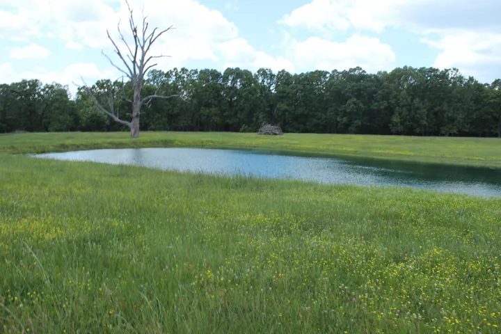 Thayer MO Farm