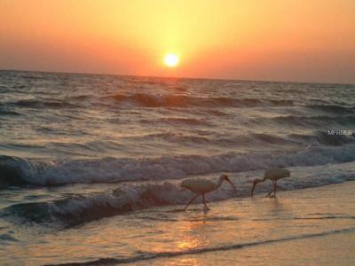 =