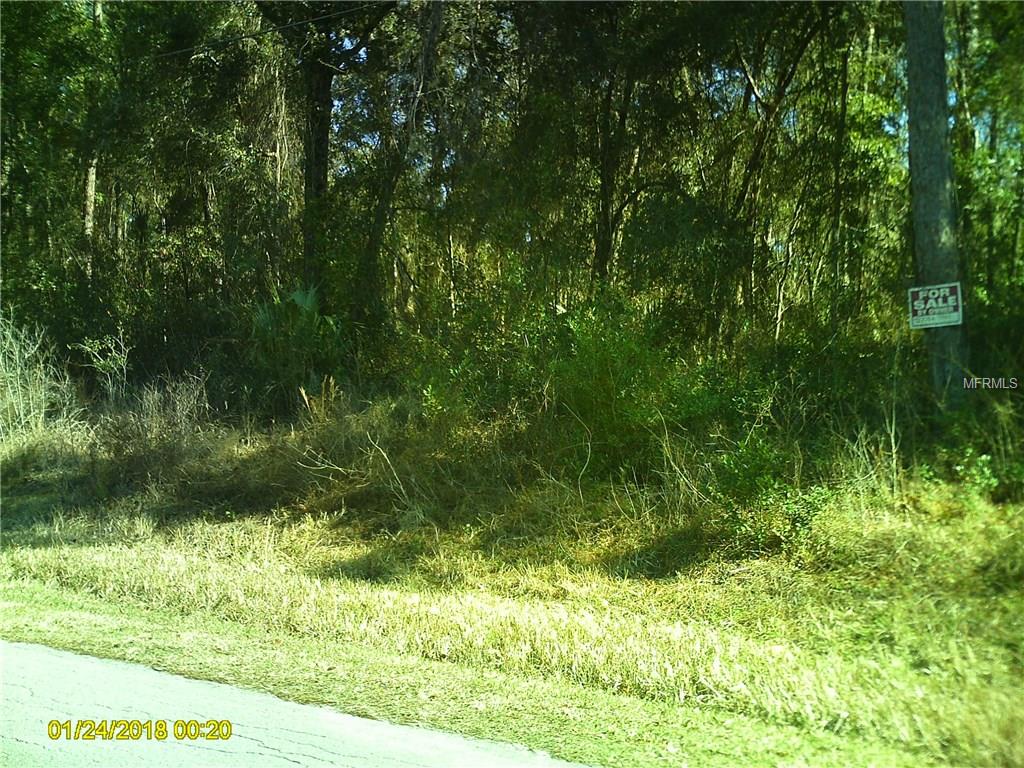 4515 S Rainbow Drive, Inverness, Florida 34452, ,Land,For Sale,RAINBOW,U7845673