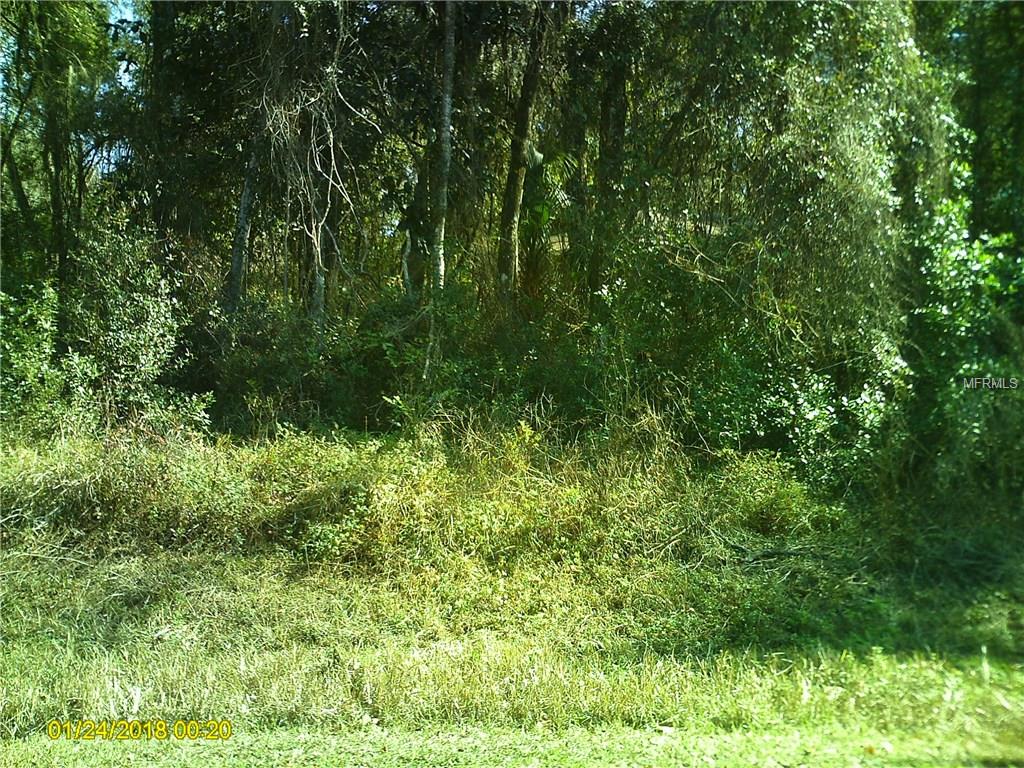 4515 S Rainbow Drive, Inverness, Florida 34452, ,Land,For Sale,RAINBOW,U7845673