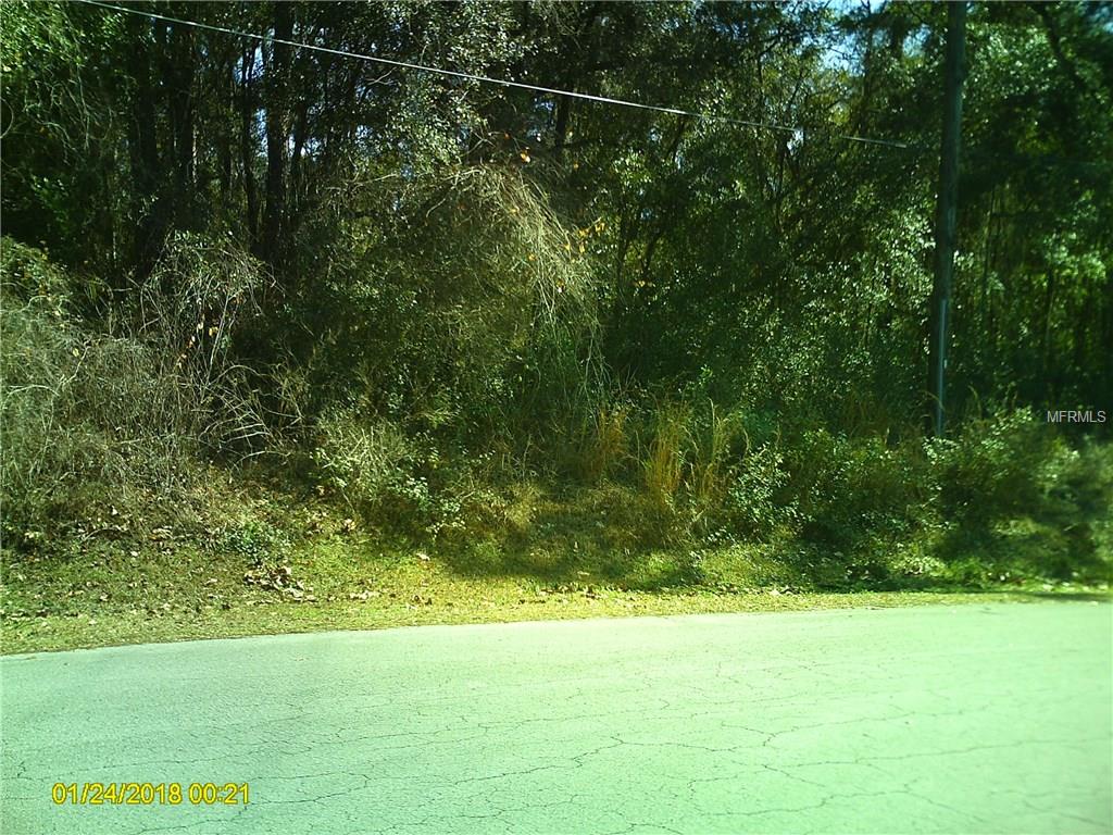 4515 S Rainbow Drive, Inverness, Florida 34452, ,Land,For Sale,RAINBOW,U7845673