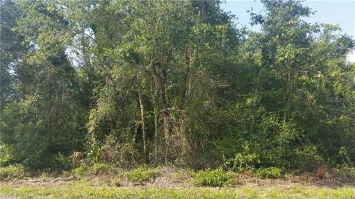 1/4 ACRE LOT
