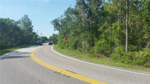CORNER LOT