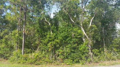 CORNER LOT WITH SURROUNDED BY MATURE TREES