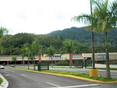 Adjuntas, Puerto Rico 00601, 0 , 0 ,0,Commercial Lease,For Rent,PR-10,0,PR0000390