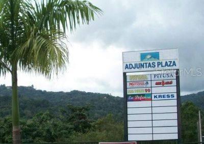 Adjuntas, Puerto Rico 00601, 0 , 0 ,0,Commercial Lease,For Rent,PR-10,0,PR0000390