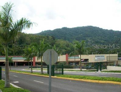 Adjuntas, Puerto Rico 00601, 0 , 0 ,0,Commercial Lease,For Rent,PR-10,0,PR0000390
