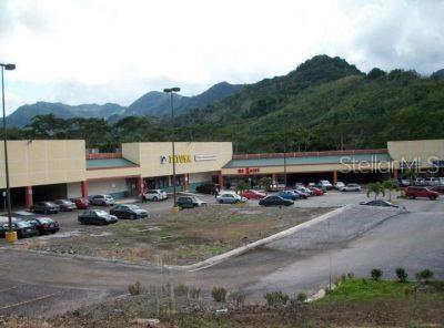 Adjuntas, Puerto Rico 00601, 0 , 0 ,0,Commercial Lease,For Rent,PR-10,0,PR0000390