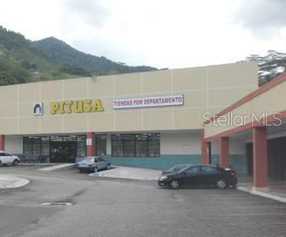 Adjuntas, Puerto Rico 00601, 0 , 0 ,0,Commercial Lease,For Rent,PR-10,0,PR0000390