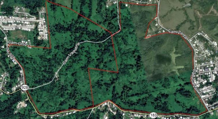 PR 183 Pr 928, San Lorenzo, Florida 00754, ,Land,For Sale,PR 928,PR9088418