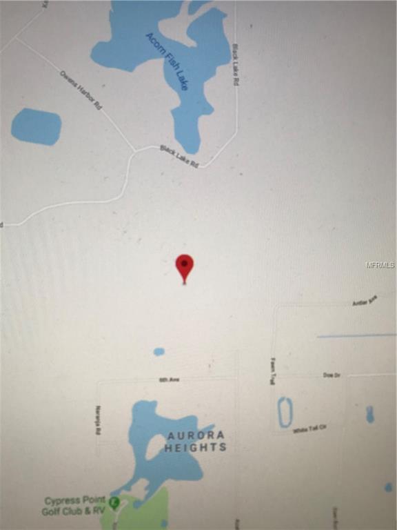 Osteen, Florida 32764, 0 , 0 ,0,Land,For Sale,EUCALYPTUS PAPER,0,V4906208