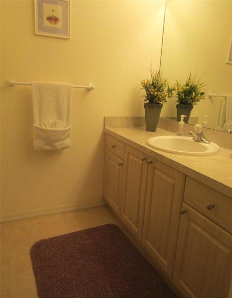 MASTER BATH-DRESSING AREA