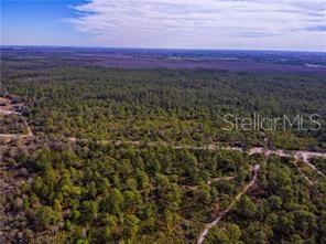 International Drive, Orlando, Florida 32821, ,Land,For Sale,INTERNATIONAL,O5808784