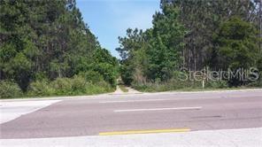 International Drive, Orlando, Florida 32821, ,Land,For Sale,INTERNATIONAL,O5808784