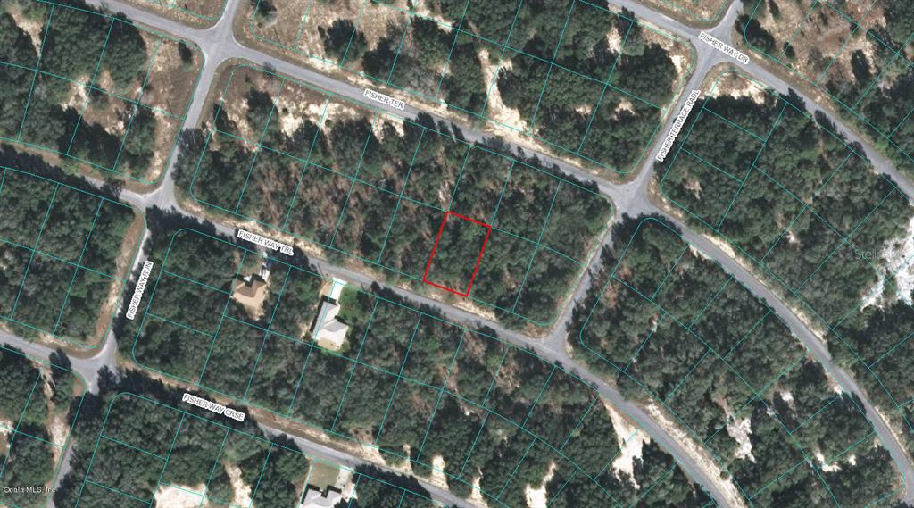 Ocklawaha, Florida 32179, 0 , 0 ,0,Land,For Sale,FISHER WAY,0,OM522939