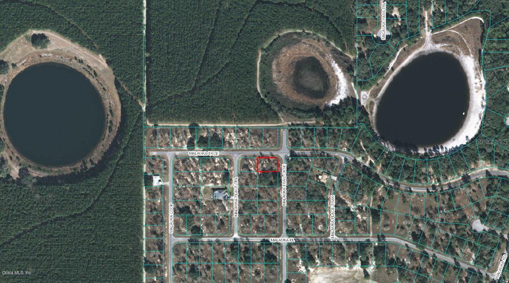 00 Malauka Trail Course, Ocklawaha, Florida 32179, ,Land,For Sale,MALAUKA TRAIL,OM523092