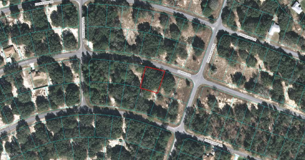 Ocklawaha, Florida 32179, 0 , 0 ,0,Land,For Sale,FISHER,0,OM523127