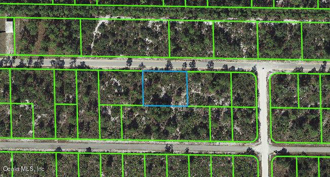 3340 Rhododendron Road, Lake Placid, Florida 33852, ,Land,For Sale,Rhododendron,OM541271