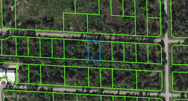 3410 Sandhill Crane Avenue, Lake Placid, Florida 33852, ,Land,For Sale,Sandhill Crane,OM541275