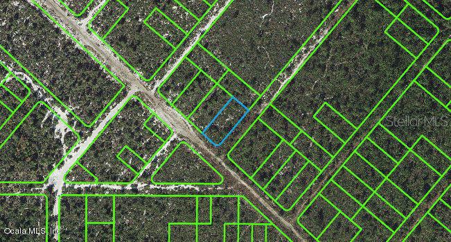 543 Nichele Boulevard, Lake Placid, Florida 33852, ,Land,For Sale,Nichele,OM541295