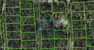 269 SUWANNEE DR