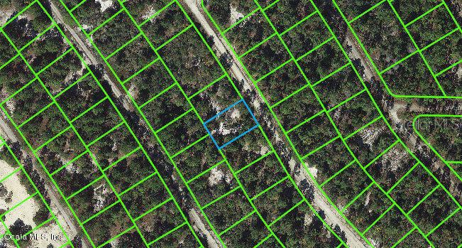 520 Summer Hill Drive, Lake Placid, Florida 33852, ,Land,For Sale,Summer Hill,OM543122