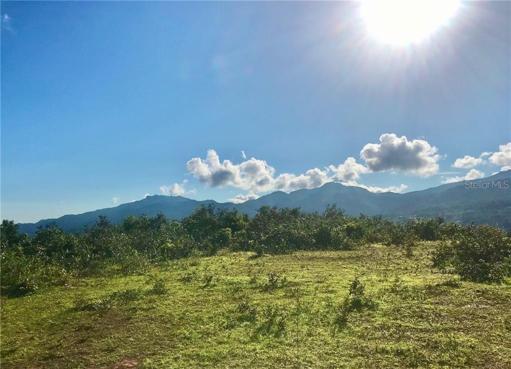 Highest pick of the property, with panoramic view