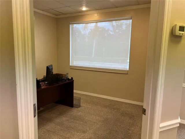 Suite 101